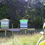 Ibis Styles Nancy Sud Houdemont