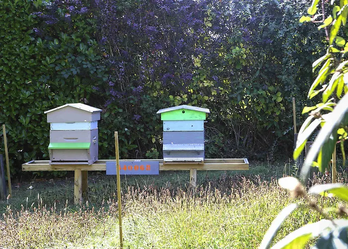 Ibis Styles Nancy Sud Houdemont